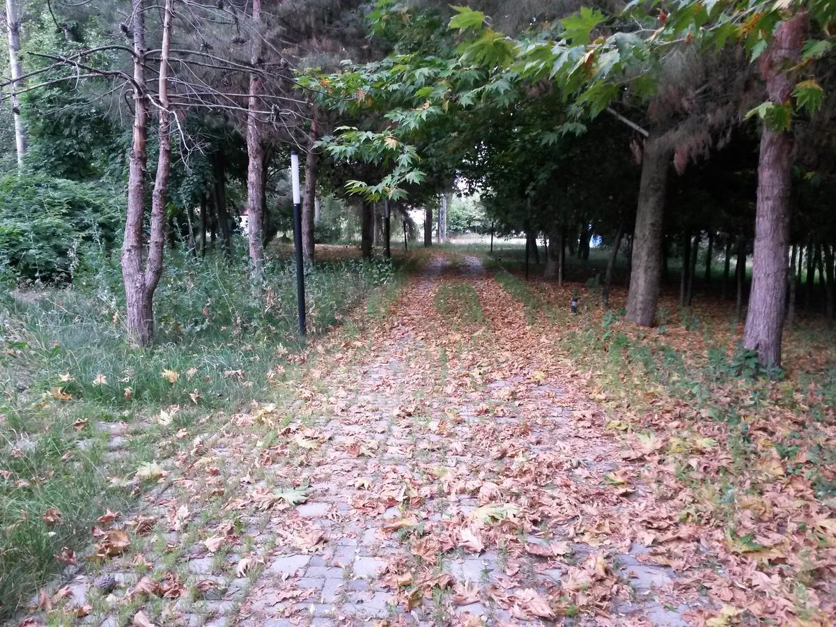 Sheki Olimpiya Hotel & Resort Kültér fotó