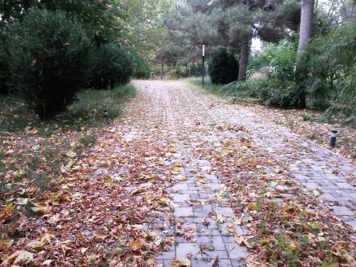 Sheki Olimpiya Hotel & Resort Kültér fotó