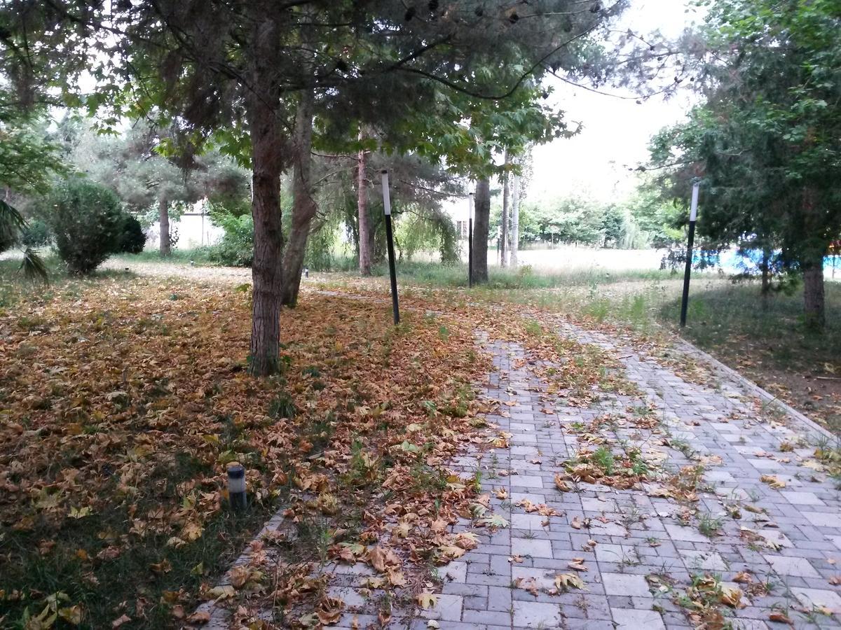 Sheki Olimpiya Hotel & Resort Kültér fotó
