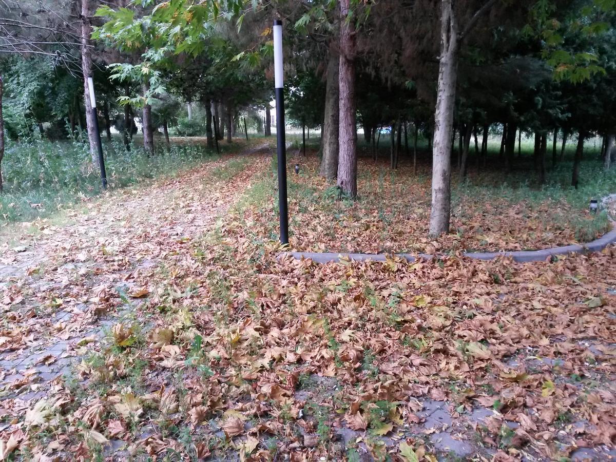 Sheki Olimpiya Hotel & Resort Kültér fotó