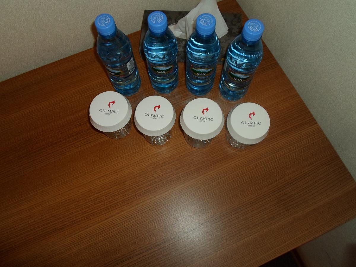 Sheki Olimpiya Hotel & Resort Kültér fotó