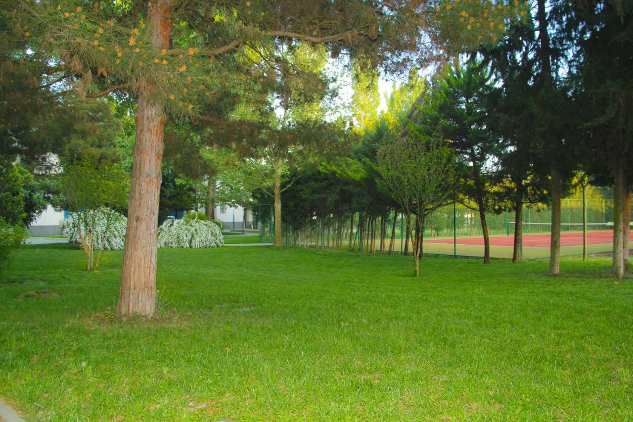 Sheki Olimpiya Hotel & Resort Kültér fotó