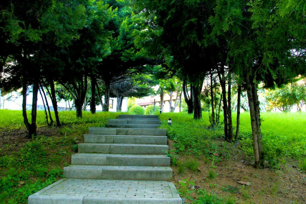 Sheki Olimpiya Hotel & Resort Kültér fotó