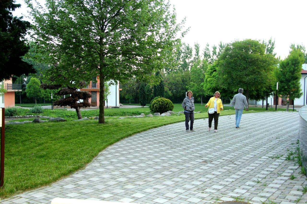 Sheki Olimpiya Hotel & Resort Kültér fotó